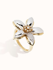 Amalfi 18Kt White and Yellow Gold Ring