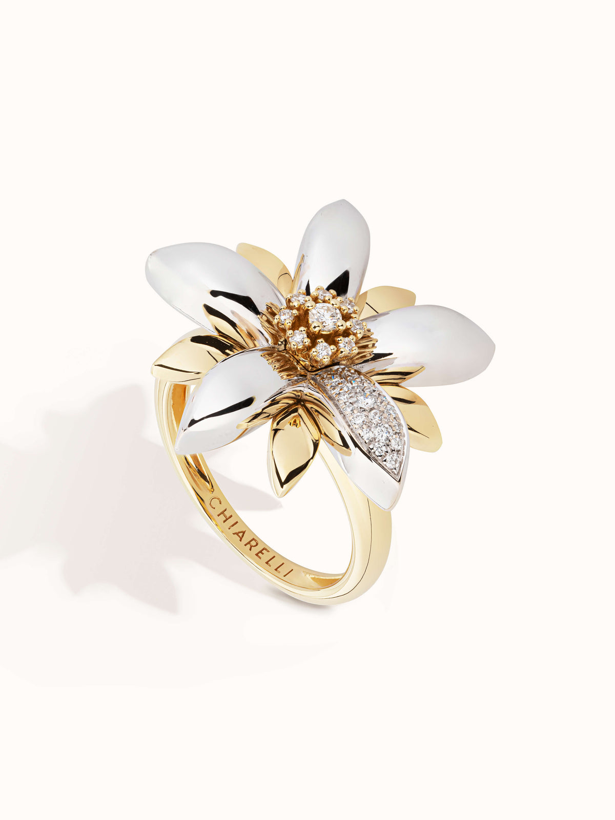 Amalfi 18Kt White and Yellow Golds Ring